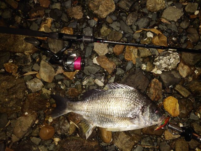 zhtwLr-5Vv52lL8wizOr25BeAlIqqEPjTav3IJc4guddJFIcxKF_RTS_2cjt9aU79LWizgljy5hsmuEIQAT1iR7u6Ef5Pj3gTUalW2tOPGUexDPWbZ9FDpuXqm_oIYZHPGAWgRoNfwFFSQkqTkXAuA==